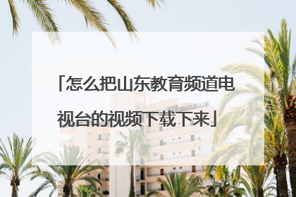 怎么把山东教育频道电视台的视频下载下来